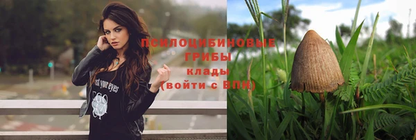 альфа пвп Заволжье