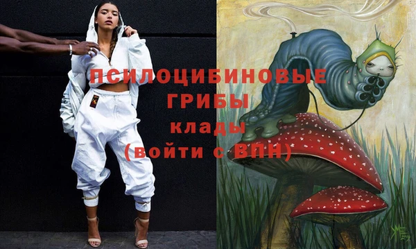 соль ск Заводоуковск
