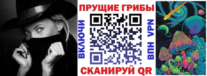 Псилоцибиновые грибы мухоморы  где найти наркотики  Зея 